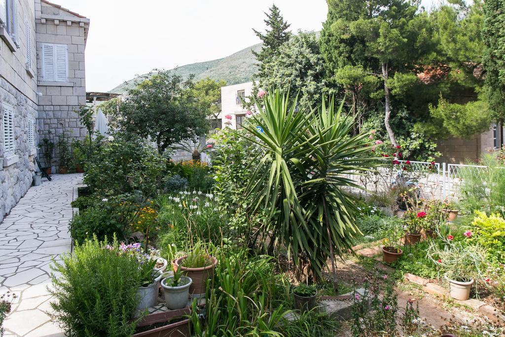 Yellow Room Guesthouse Dubrovnik Rum bild
